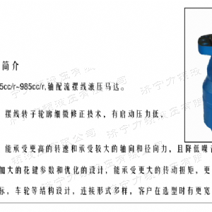 BMH系列交错油口完美网-完美网(中国)
马达