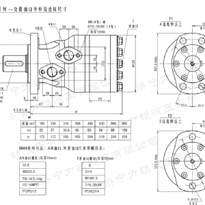 BMH系列交错油口完美网-完美网(中国)
马达